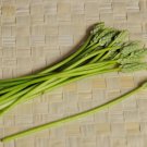 Super Bath Asparagus Seeds Pcs 8 Asperge Des Bois Ornithogalum Pyrenaicum