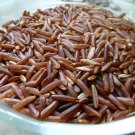 Super Cargo Red Rice Seeds Pcs 25 Whole Thai Red Rice Oryza Sativa
