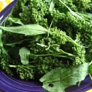 Super Huauzontle Rare Seeds Pcs 40 Epinard Azteque Chenopodium Berlandieri
