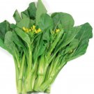Super Kai Lan Chinese Broccoli Seeds Pcs 60 Brassica Albo