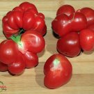 Super Travelers Tomato Lycopers Esculentum Travel Seeds Pcs 8