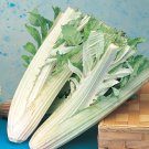 Super Ivory White Cardon Seeds Pcs 25 Cynara Cardunc