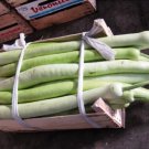 Super Sicilian Snake Seeds Pcs 5 Cucuzzi Lagenaria Ciceraria Longissima