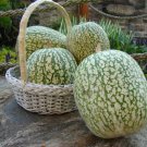 Super Squash Cucurbita Ficifolia Melanosperma Seeds Pcs 10