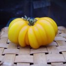 Super Tomate Accordeon Jaune Seeds Pcs 12