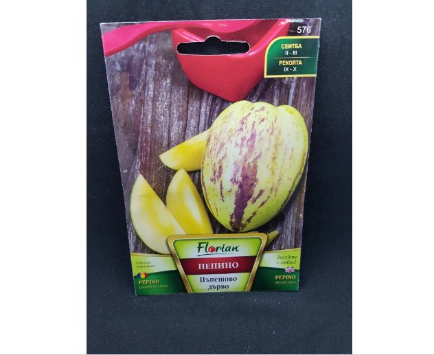 Super Seeds Pepino Melon Tree Fruit Tasting as Melon and Mango 10 Pcs