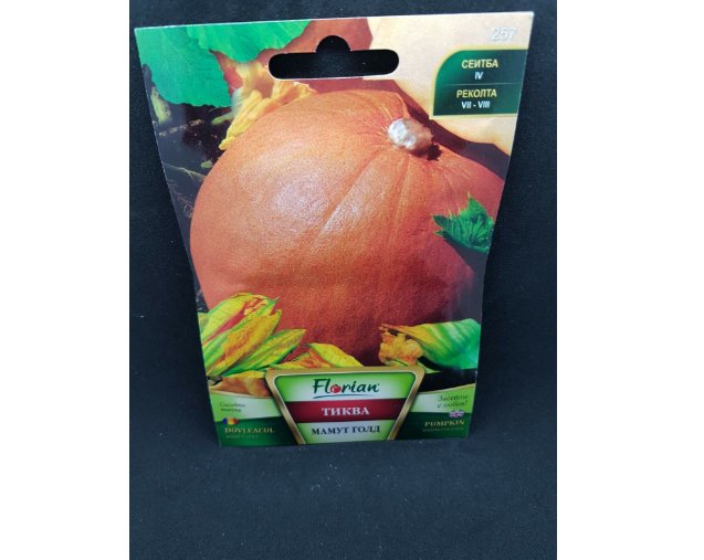 Super Seeds Gigantic Pumpkin Mammoth Gold Sweet Tasty Huge 5 Pcs