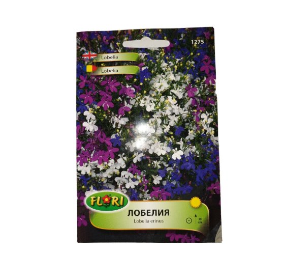 Super Seeds Trailing Lobelia Erinus Mix Hanging Basket Balcony Flower 3000 Pcs