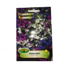 Super Seeds Trailing Lobelia Erinus Mix Hanging Basket Balcony Flower 3000 Pcs