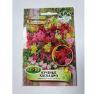 Super Seeds Snapdragon Flower Hanging Basket Garden Pretty 100+ Pcs