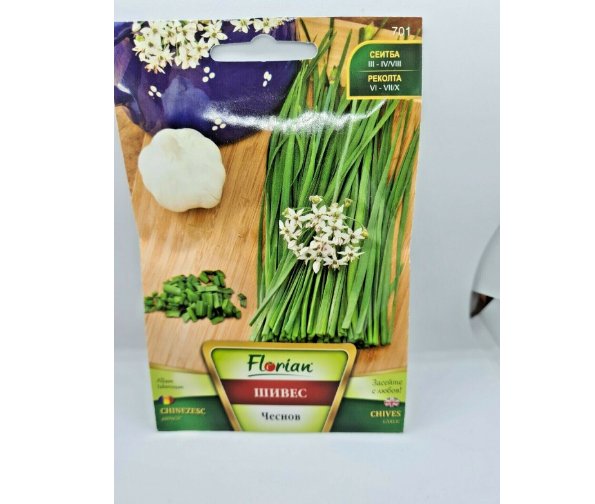 Super Seeds Garlic Chives Herb and Spice Garden Vegetable 300 Pcs