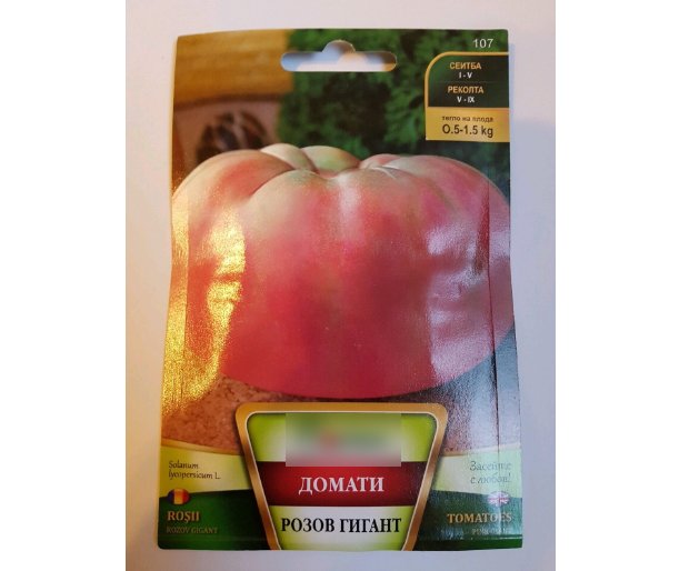 Super Seeds Big Huge Gigantic Tomatoes Giant Pink Beef Tomato Bulgarian 100+ Pcs