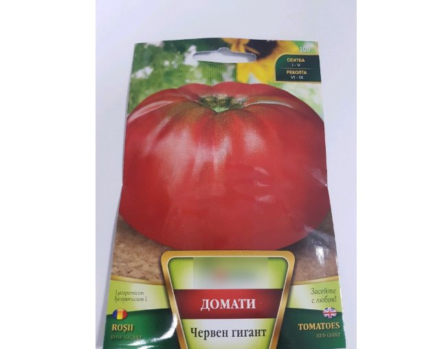Super Seeds Big Huge Gigantic Beefsteak Red Giant Beef Tomato Bulgarian 100+ Pcs