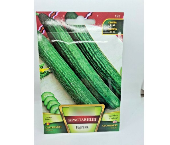 Super Seeds Gergana Long Cucumber Vegetable Garden  50+ Pcs