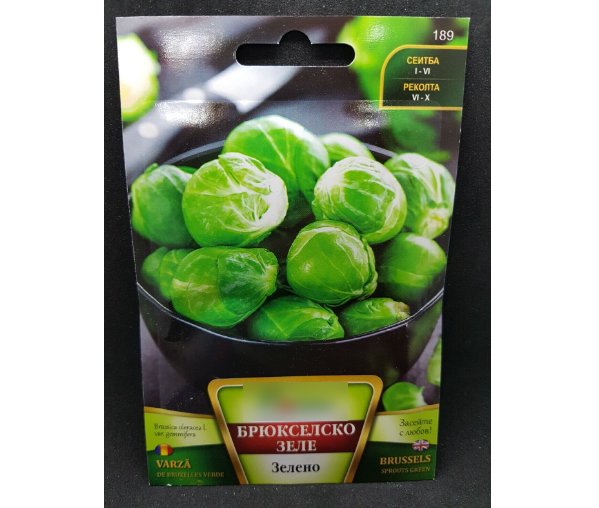 Super Seeds Groninger Brussels Sprouts Garden Vegetable 700+ Pcs