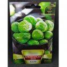 Super Seeds Groninger Brussels Sprouts Garden Vegetable 700+ Pcs
