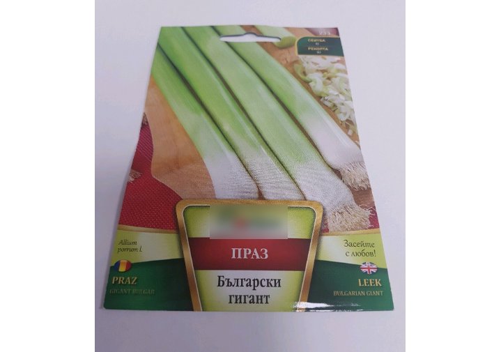 Super Seeds Big Huge enormous Bulgarian Giant Leek Garden 800+ Pcs