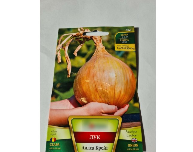 Super Seeds Ailsa Craig Giant Huge Big Large Onion Vegetable Garden 400+ Pcs