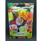 Super Seeds California Poppy Wildflower Hardy Countryside English Garden Cottage 400+ Pcs