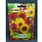 Super Seeds Coreopsis Kings Bright Vibrant Colours Plentiful Sun Yellow 1000 Pcs