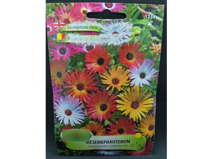 Super Seeds Livingstone Daisy Bright Blossoms Flower Seeds 1000+ Pcs
