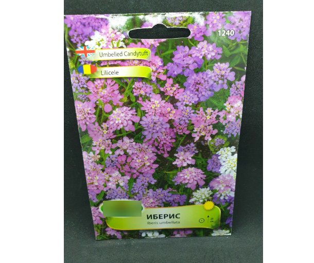 Super Seeds Candytuft Dwarf Flower Resistant Rockeries 600+ Pcs