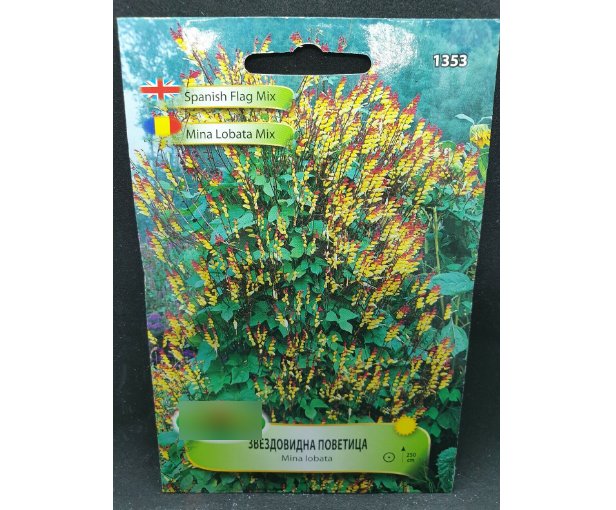 Super Seeds Cascading Spanish Flag Plant Beautiful Flower Garden 42 Pcs