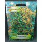 Super Seeds Cascading Spanish Flag Plant Beautiful Flower Garden 42 Pcs