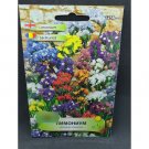 Super Seeds Vervain Fuchsia Verbena x Hybrida Mix Pink Purple Blue White 100+ Pcs