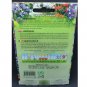 Super Seeds Vervain Fuchsia Verbena x Hybrida Mix Pink Purple Blue White 100+ Pcs