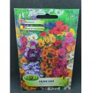 Super Seeds Nemesia Strumosa Mix Colours Beautiful Flower 500+ Pcs