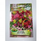 Super Seeds Snapdragon Garden Beautiful Flower 5100+ Pcs