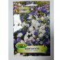 Super Seeds Perennial Bellflowers Garden Beautiful flower 3000+ Pcs