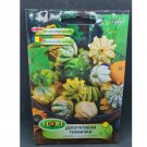 Super Seeds Cucurbita Pepo Ornamental Mix Horns Gourd Mini Pumpkin Flower 20+ Pcs