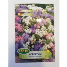 Super Seeds Ageratum Mix White Pink Purple Garden Beautiful Flower 1000+ Pcs