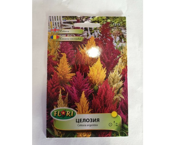 Super Seeds Celosia Argentea Flower Mixed Colours Pretty Garden Cottage 400+ Pcs