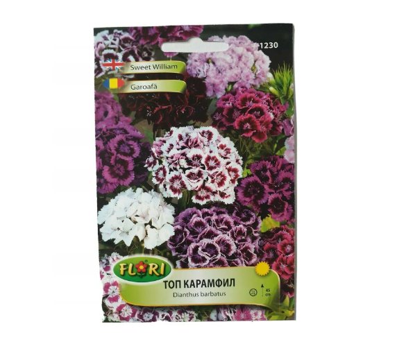 Super Seeds Dianthus Barbatus Mix Sweet Williams Flower Garden Summer 300+ Pcs