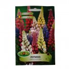 Super Seeds Lupinus Polyphyllus Garden Lupin Lupine Flower Mix Perennial 50 Pcs