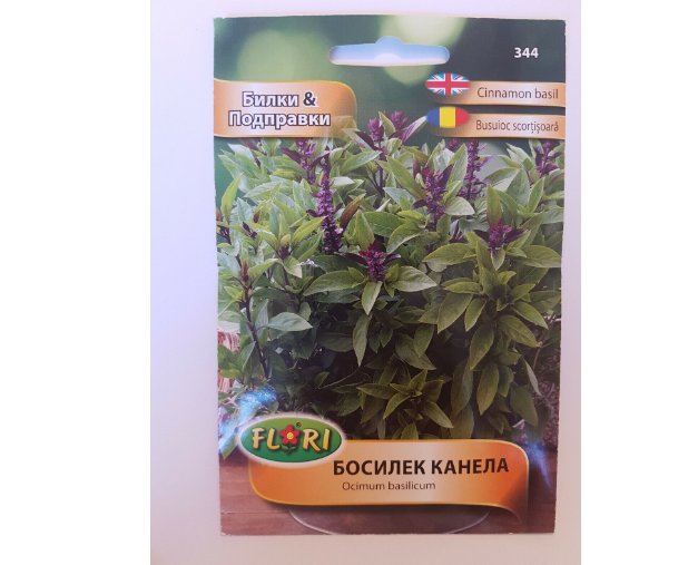 Super Seeds Ocimum Basilicum Cinnamon Basil Herb and Spice Vegetable 100 Pcs