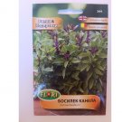 Super Seeds Ocimum Basilicum Cinnamon Basil Herb and Spice Vegetable 100 Pcs