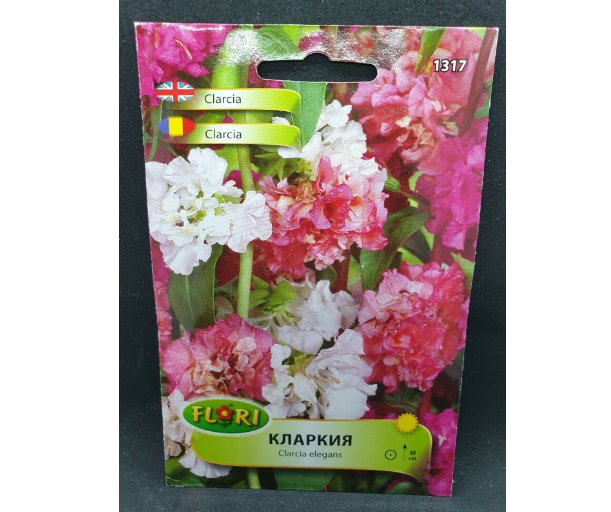 Super Seeds Clarkia Elegans Mix Flower White Pink Fuchsia English Cottage Garden 3000+ Pcs