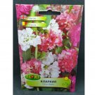 Super Seeds Clarkia Elegans Mix Flower White Pink Fuchsia English Cottage Garden 3000+ Pcs