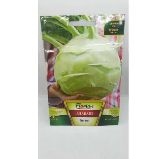 Super Seeds Kohl Rabi Big Huge Delicacy White Giant Vegetable 1000 Pcs