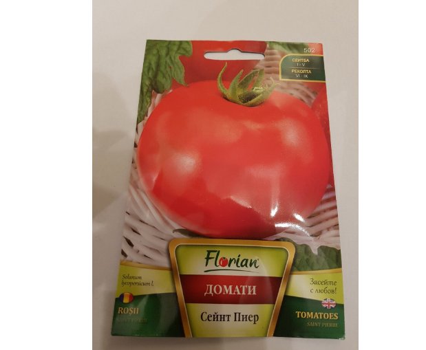 Super Seeds Bulgarian Saint Pierre red beef Tomato 100+ Pcs