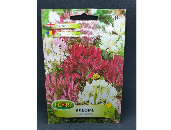 Super Seeds Cleome Spinosa Spider Flower Whiskers Mix Pink White Fuchsia 200+ Pcs