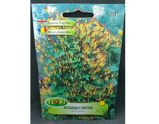 Super Seeds Cascading Spanish Flag Plant Beautiful Garden 40+ Pcs