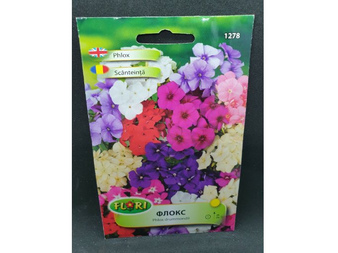 Super Seeds Phlox Drummondii Mix Colours Pretty English Garden Hanging Basket 200+ Pcs