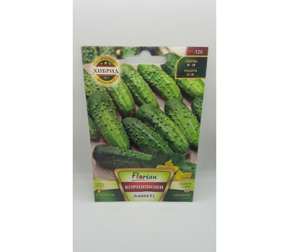 Super Seeds Gherkin Cornichons Levina Cucumber Delicious Hybrid 40 Pcs