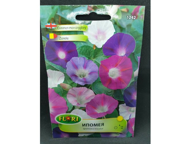 Super Seeds Ipomoea Climber Morning glory Mix tall Pink White Purple 100 Pcs