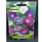 Super Seeds Ipomoea Climber Morning glory Mix tall Pink White Purple 100 Pcs